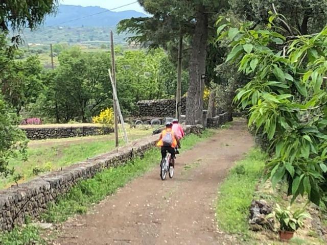 Agriturismo Sole Di Sicilia Randazzo Kültér fotó